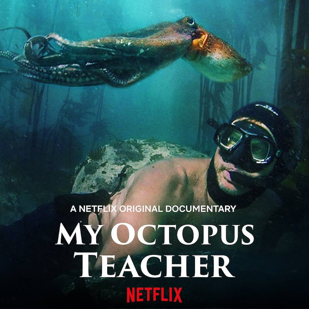 Locandina di My Octopus Teacher