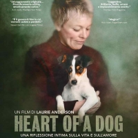 il poster di Heart of A Dog