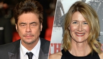 Benicio Del Toro e Laura Dern