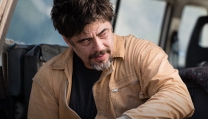 Benicio Del Toro in Perfect Day