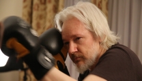 Julian Assange mette Sony K.O