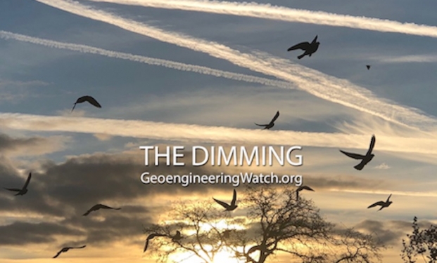 The Dimming The Dimming