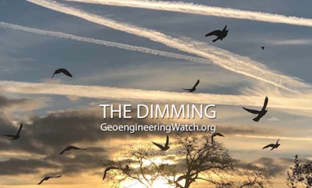 The Dimming