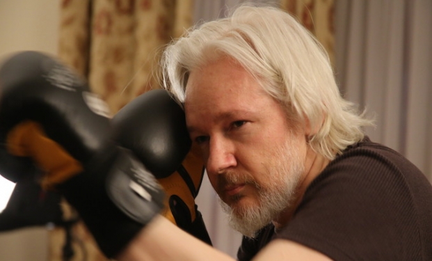 Julian Assange mette Sony K.O