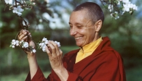 Tenzin Palmo