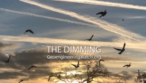 The Dimming