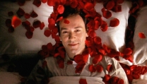 American Beauty