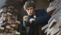 Eddie Redmayne in Animali Fantastici e Dove Trovarli