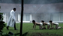 The Human Centipede