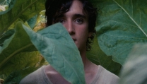 Lazzaro felice