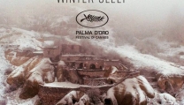 Locandina di Il regno d'inverno - Winter Sleep