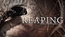 The Reaping