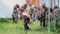 The Walking dead