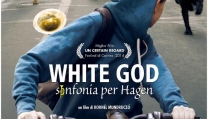 Locandina di White God - Sinfonia per Hagen