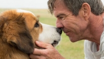 A dog's purpose