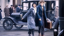 Fantastic Beasts and Where to Find Them - Animali Fantastici e dove Trovarli