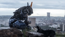 Chappie