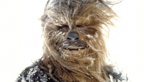 Chewbacca