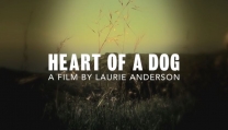 Heart of a Dog Heart of a Dog