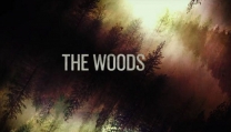 The Woods