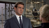 Rod Taylor