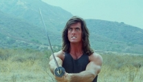 Samurai Cop