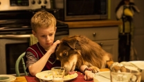 Kyle Catlett in una scena di "Lo straordinario viaggio di T.S. Spivet"