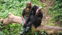 Virunga