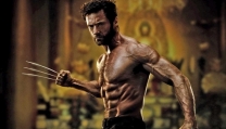 Wolverine