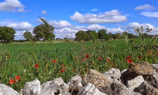 l'Apulia Film Festival a Crispiano