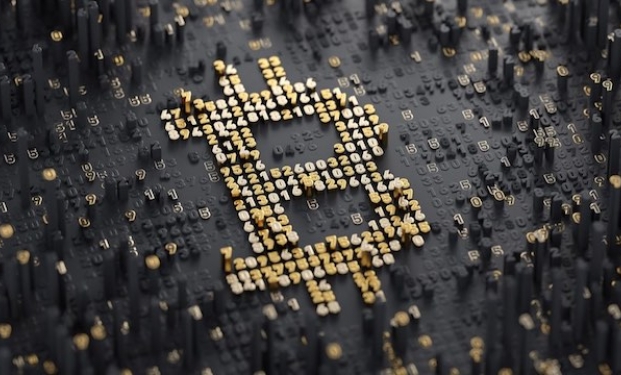 L'immagine della moneta digitale dal sito Bitcoin.com