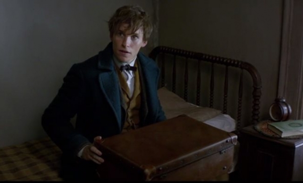 Newt Scamander