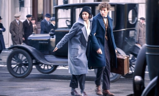 Fantastic Beasts and Where to Find Them - Animali Fantastici e dove Trovarli