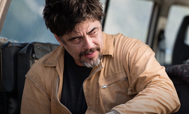 Benicio Del Toro in Perfect Day