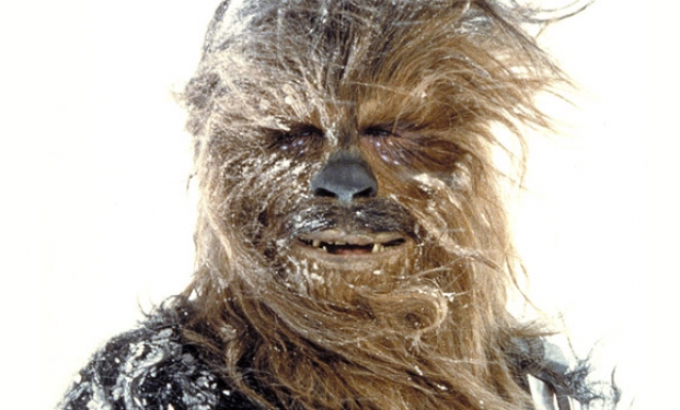 Chewbacca