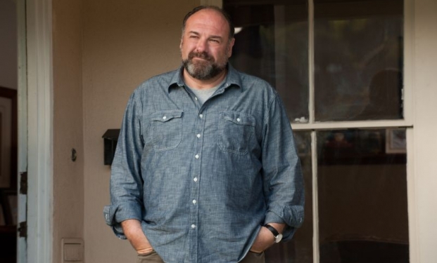 James Gandolfini in Non dico altro