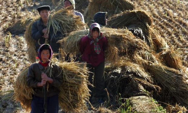 La Cina rurale fonte di ispirazione per artisti