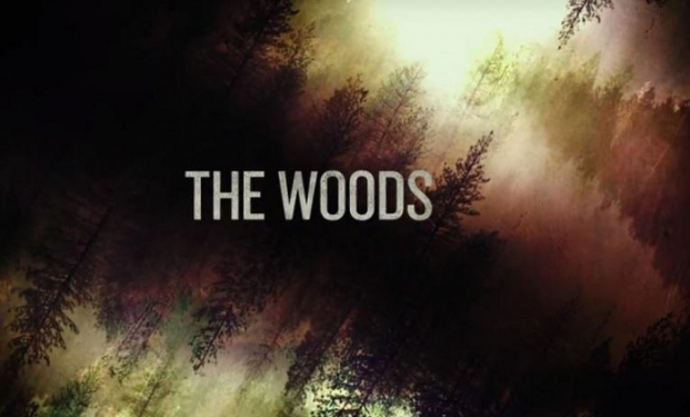 The Woods